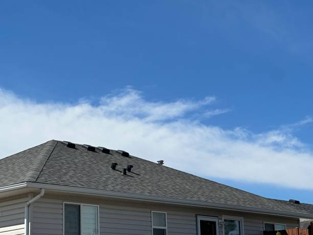 Best Roofing for New Construction  in Versailles, OH